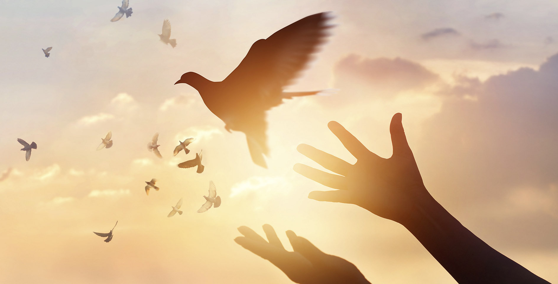 Автономная свобода. Свободная птица. Птица улетает с руки. Отпустить птицу в небо. Свобода счастье.