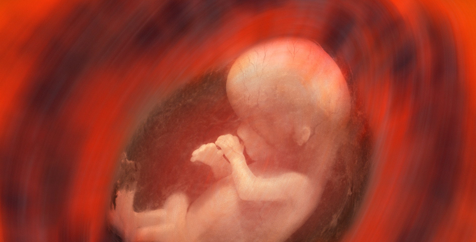 Ребенок плачет в утробе. Замершая беременность фото.