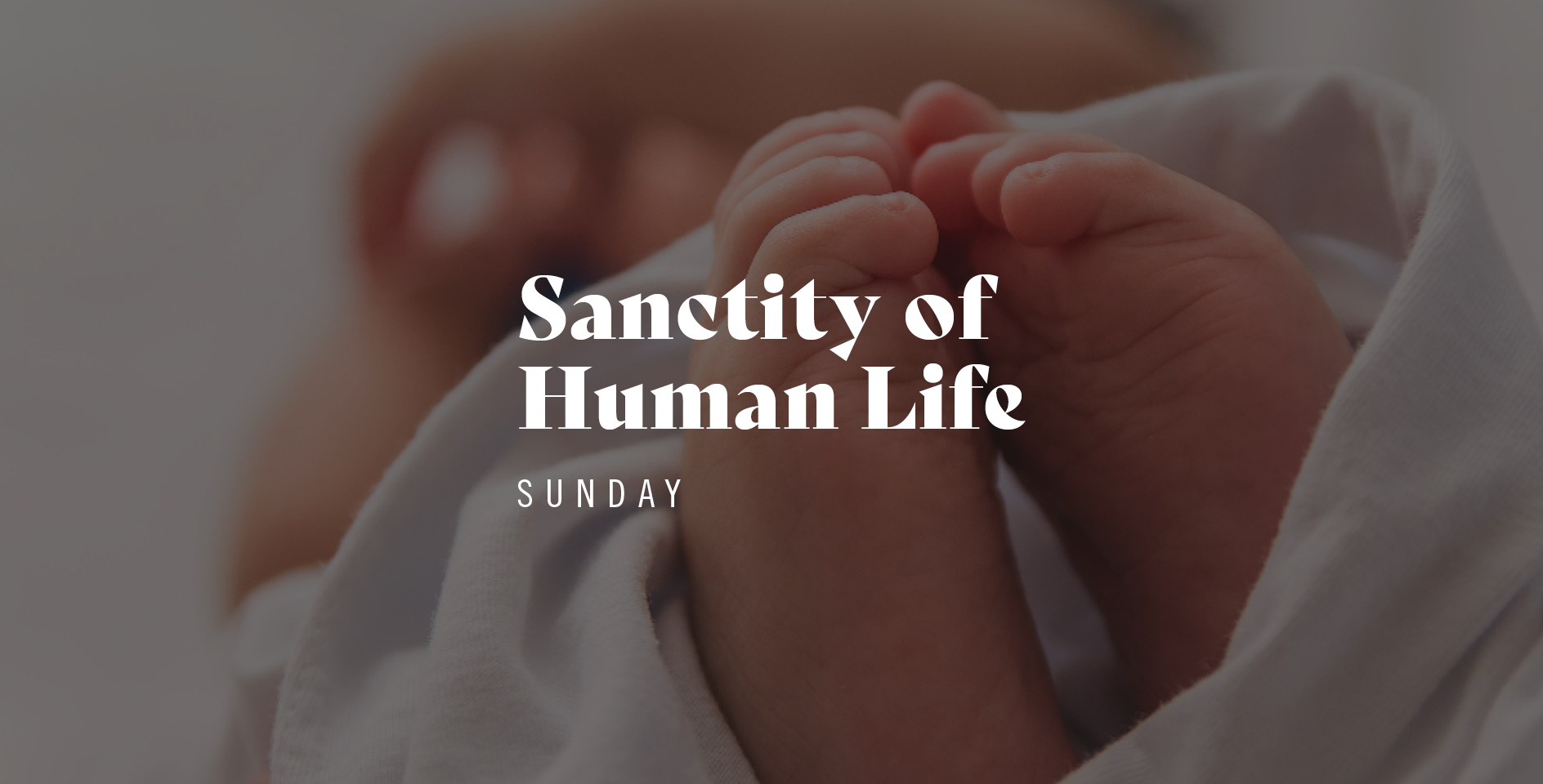 Sanctity of Human Life Sunday bulletin insert ERLC