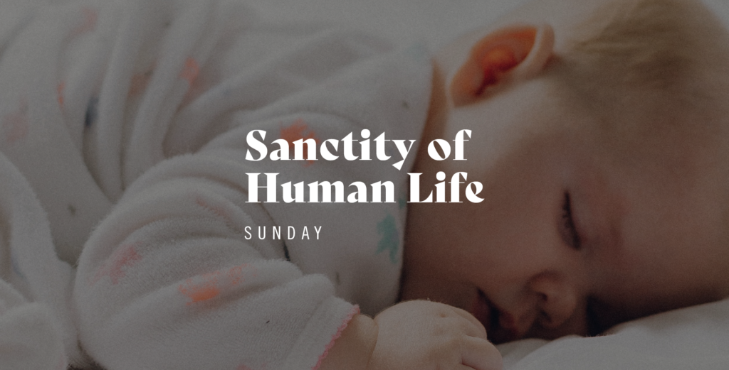 Sanctity of Human Life Sunday bulletin insert and video ERLC