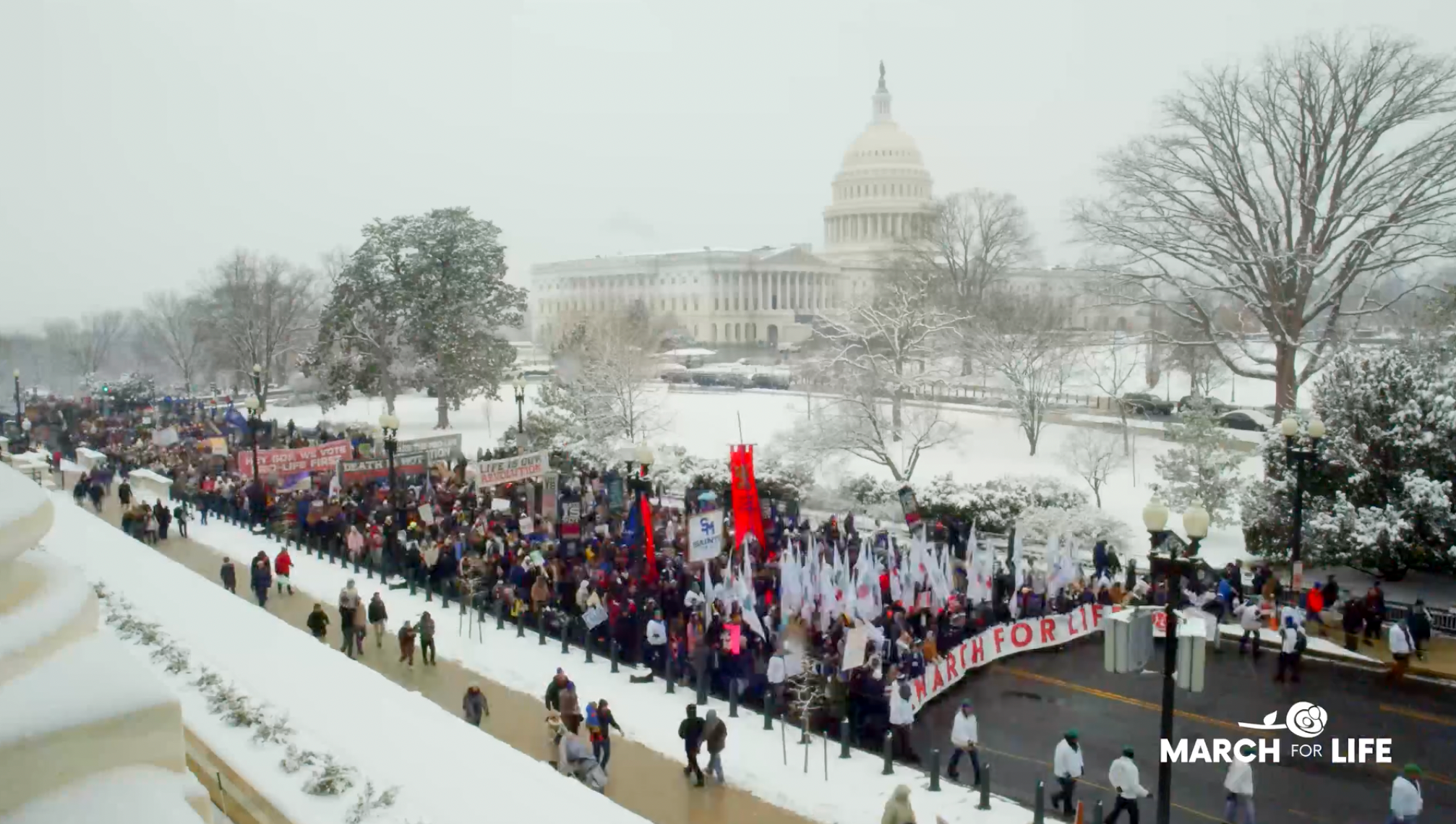 51st March for Life an opportunity to ‘refocus’ pro-life efforts