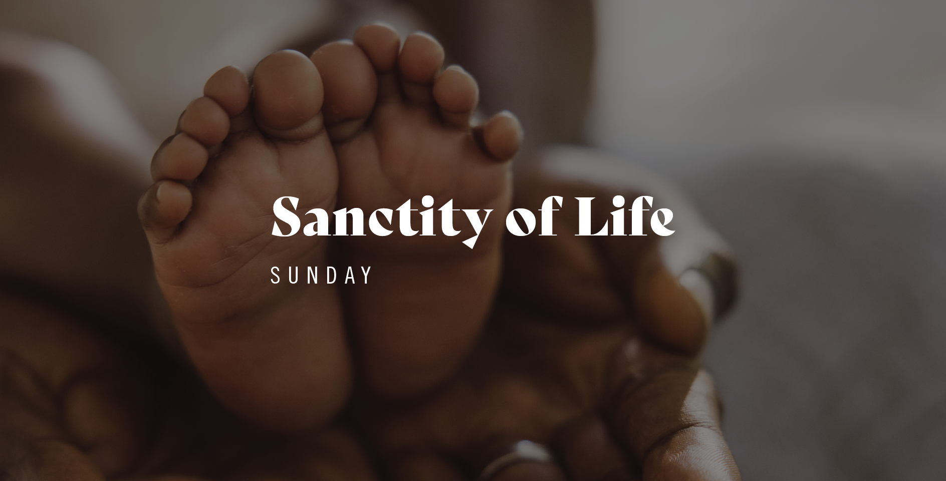 Sanctity of Life Sunday bulletin insert
